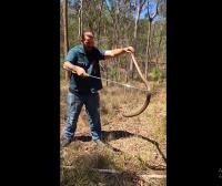 Brisbane Snake Catchers image 8